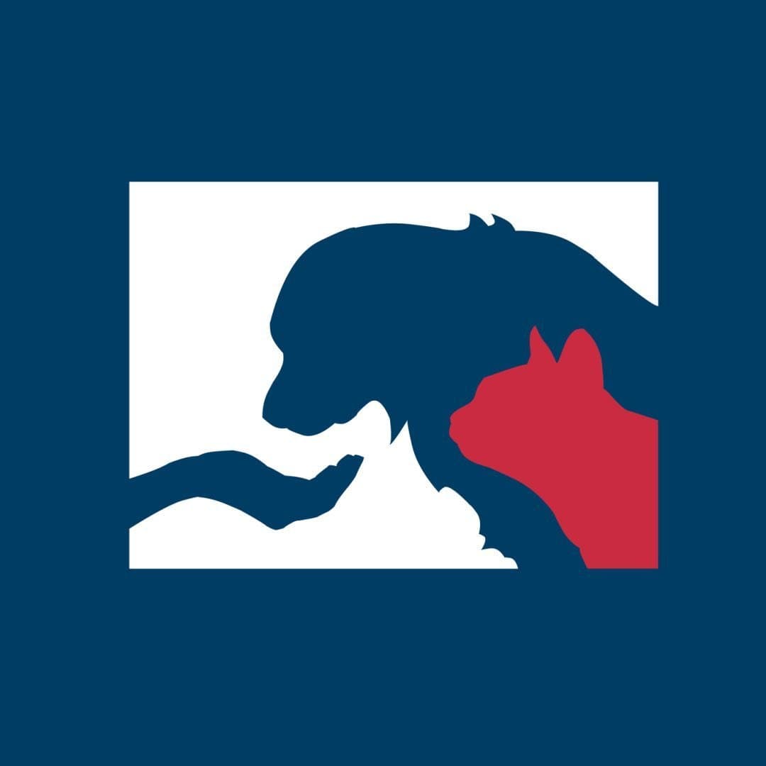 Ariane Portela - Médica Veterinária