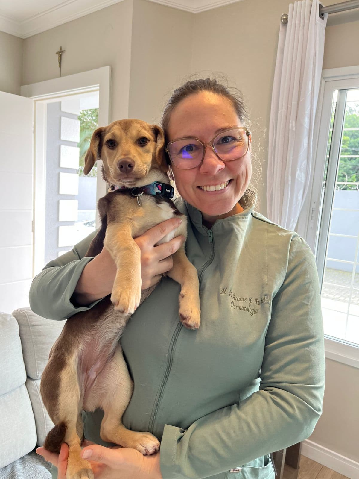 Atendimento veterinário domiciliar com cão em Curitiba